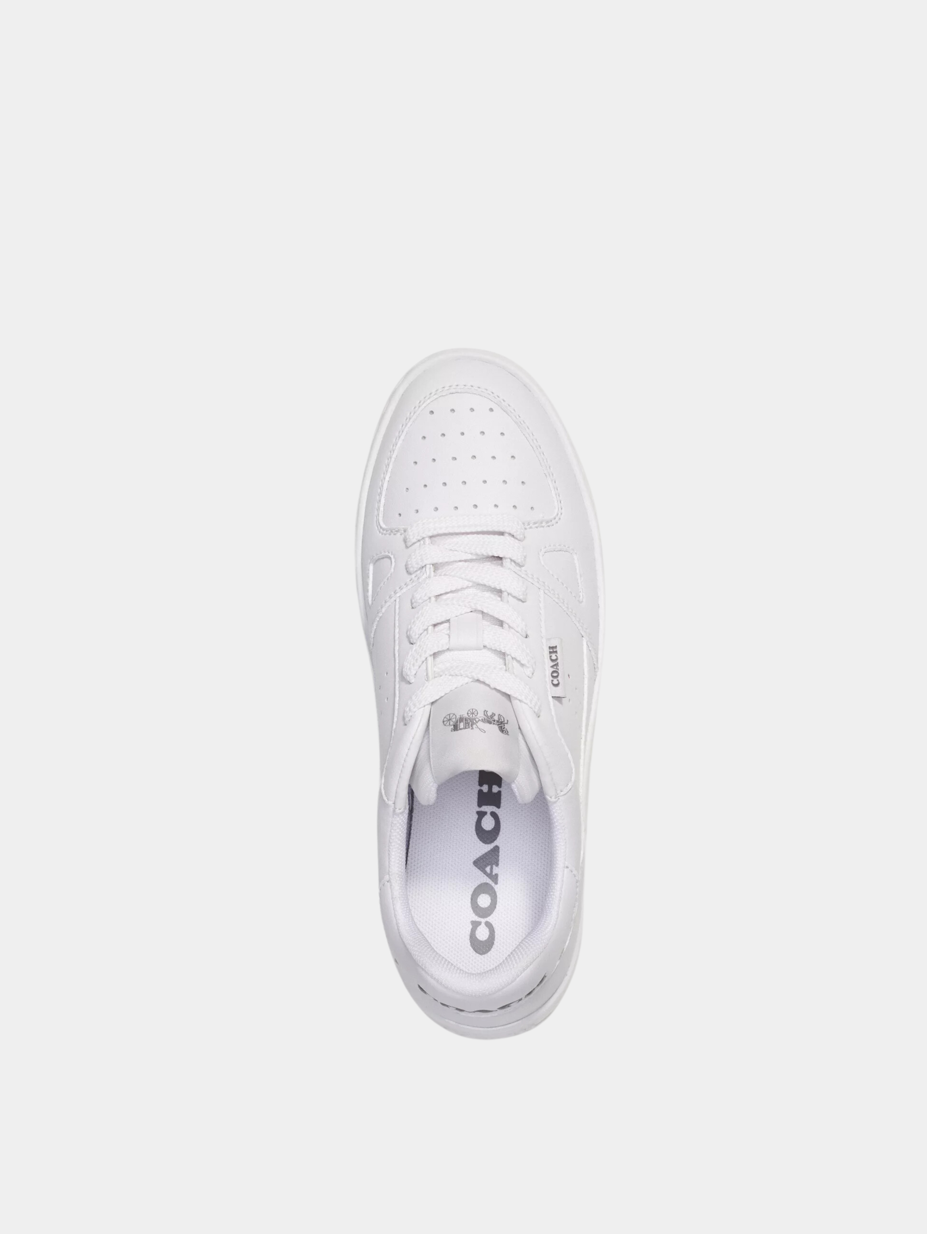 Clip Court Low Top Sneaker