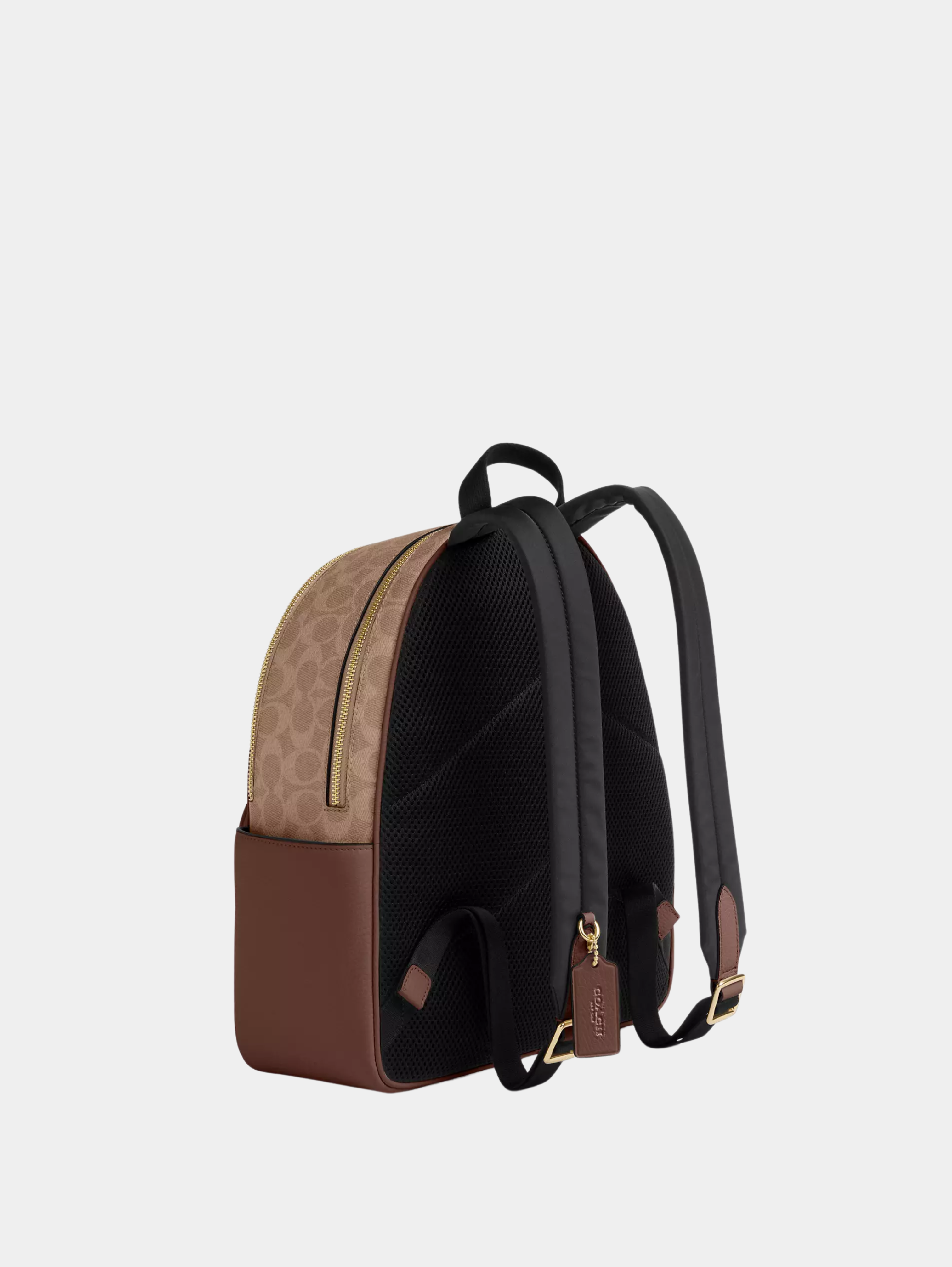 Court Backpack In Signature Canvas