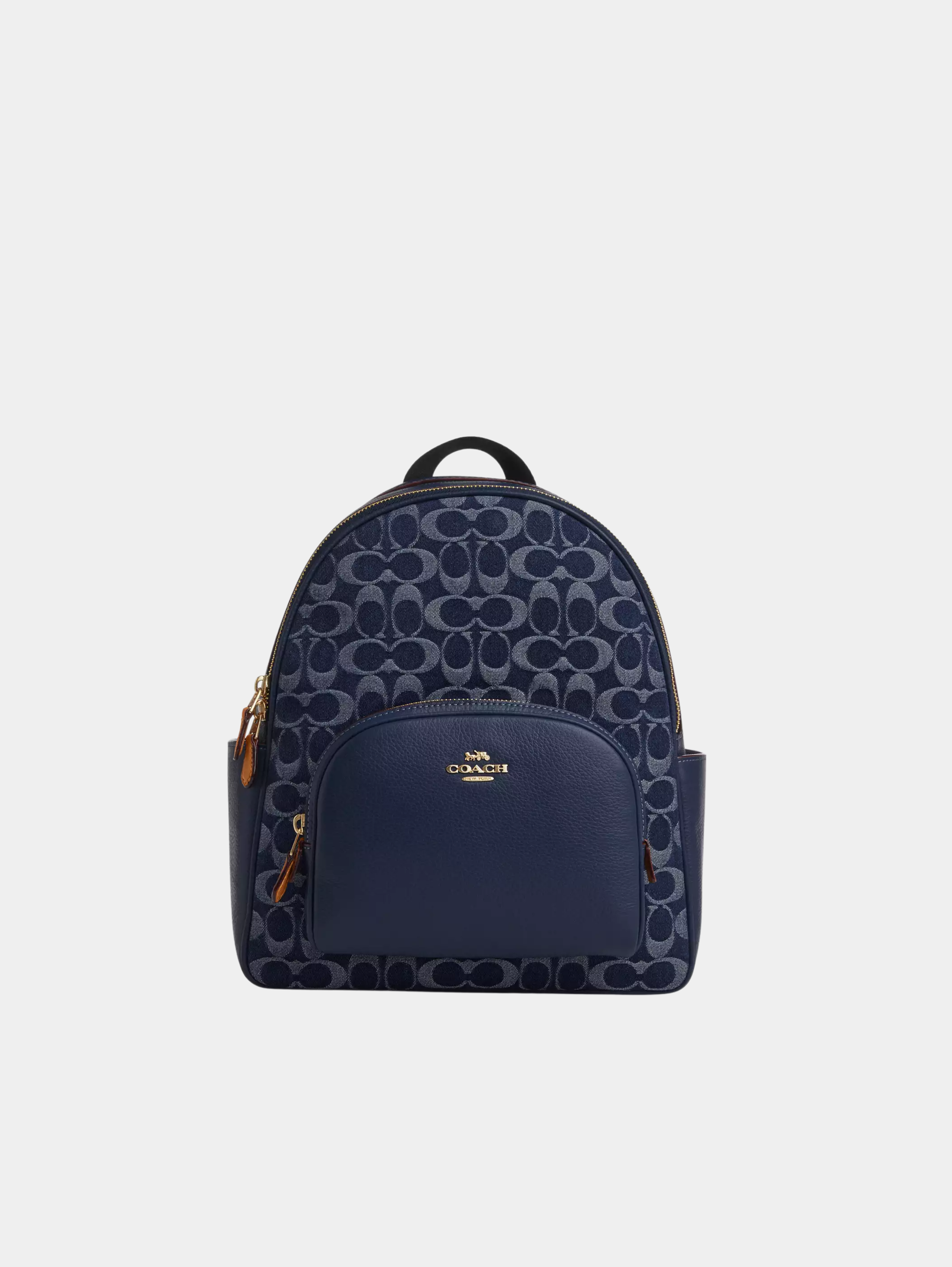 Court Backpack In Signature Canvas