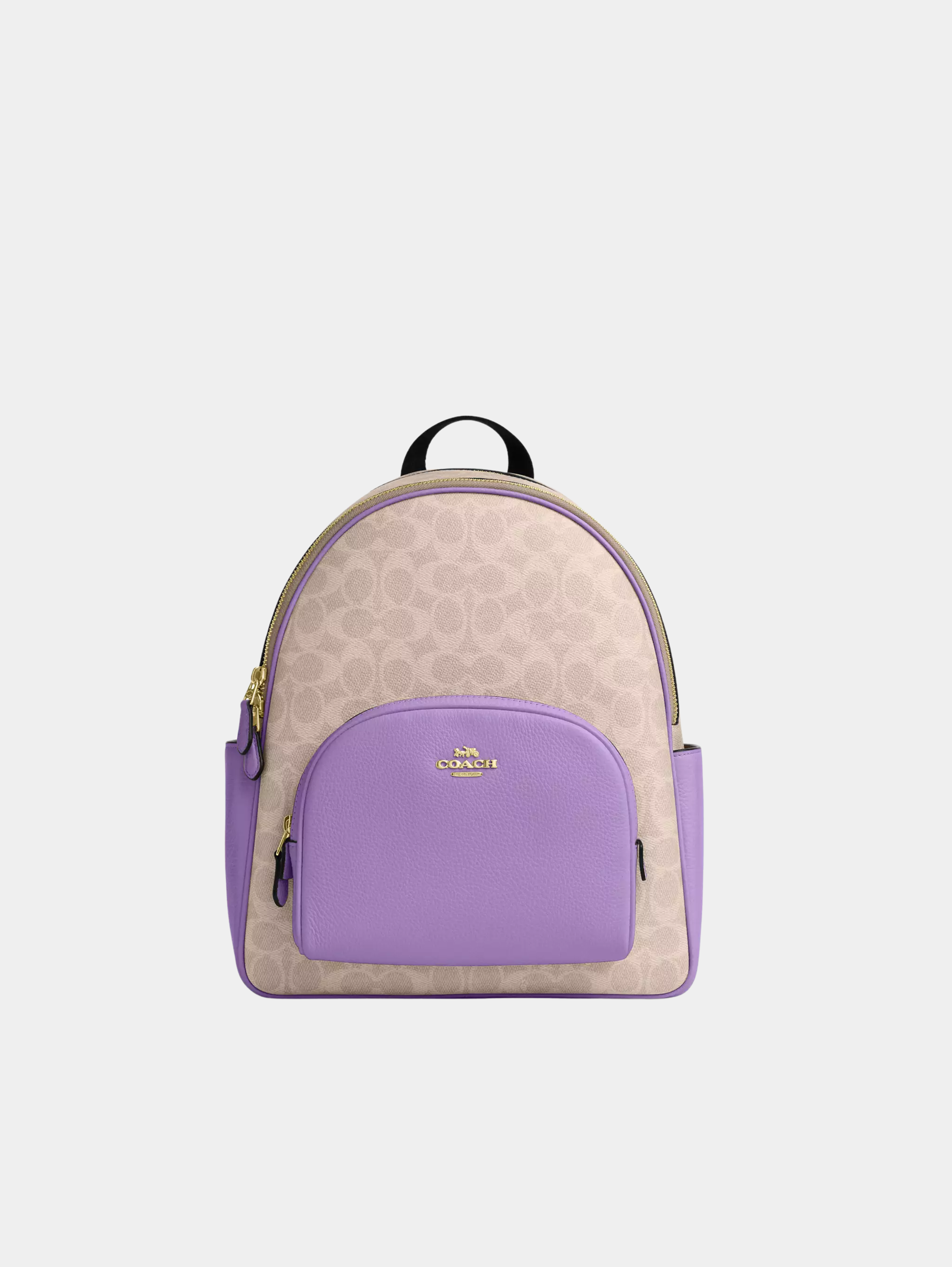 Court Backpack In Signature Canvas