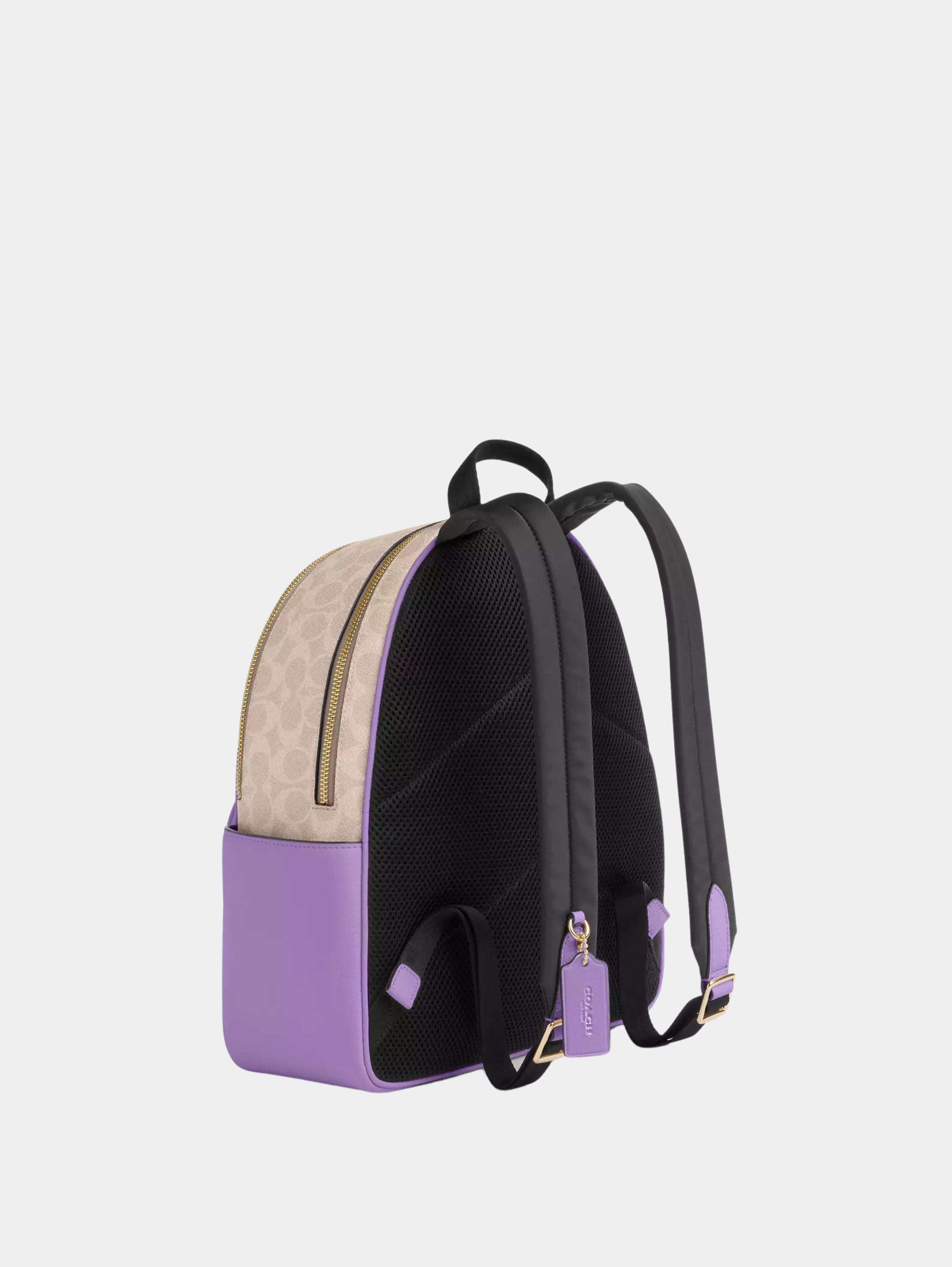 Court Backpack In Signature Canvas