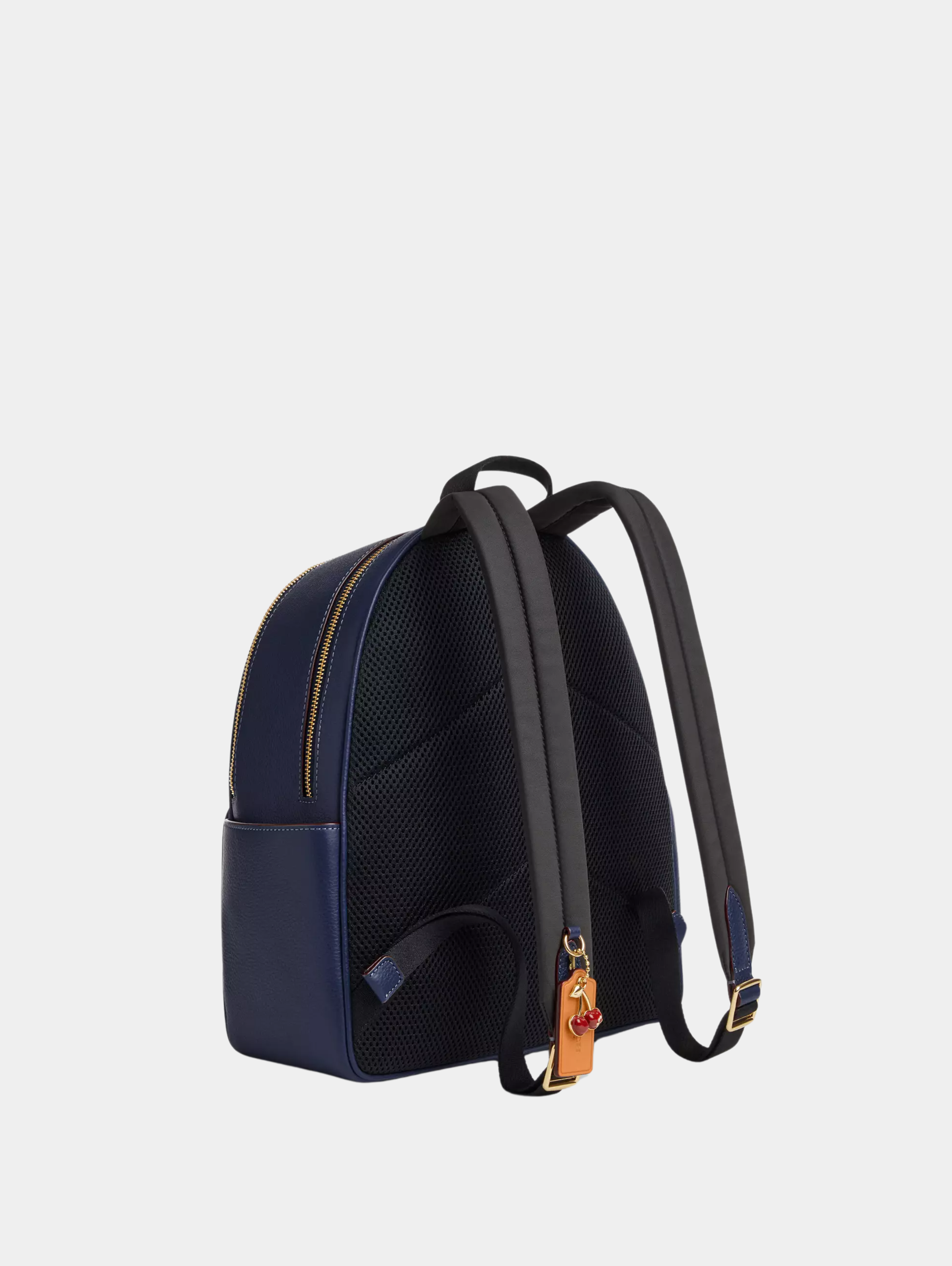 Court Backpack In Signature Canvas