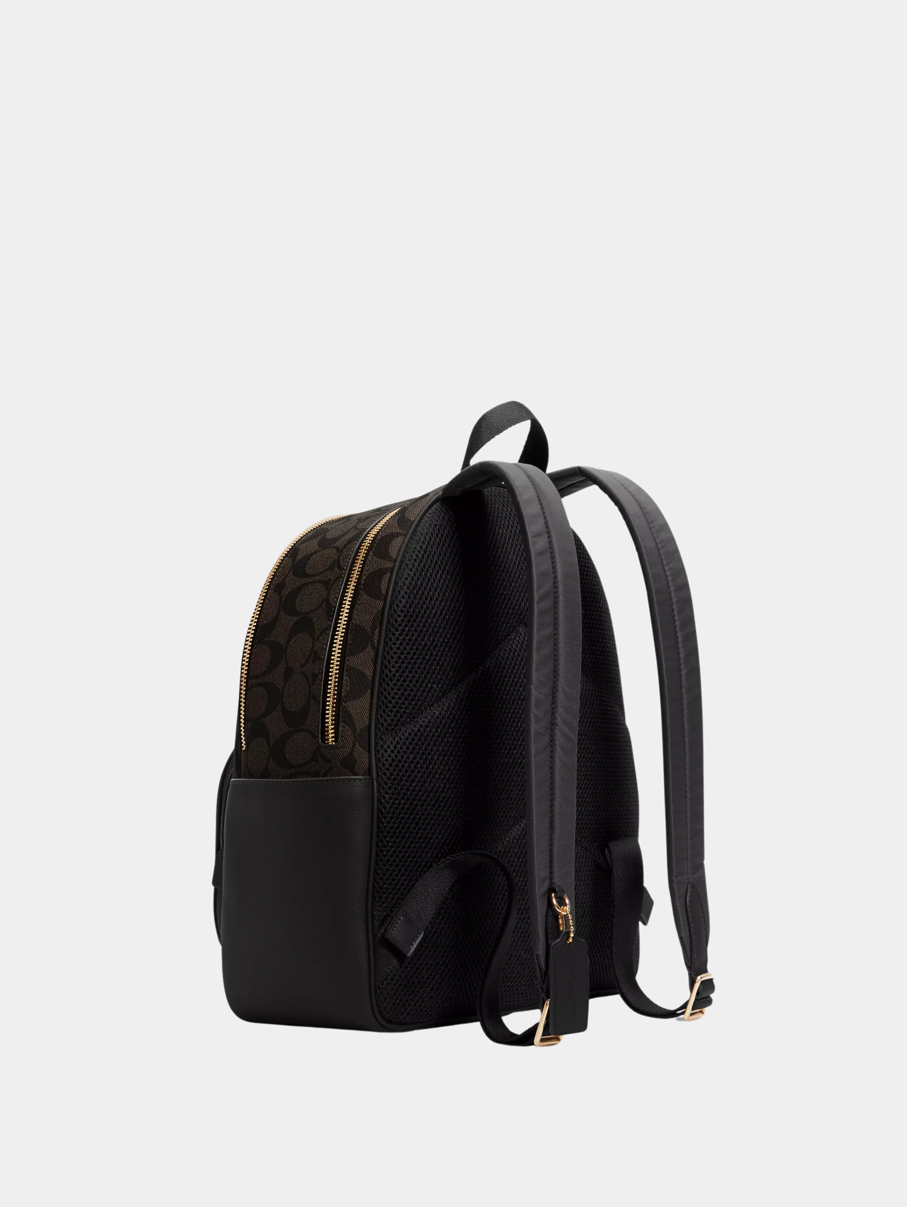 Court Backpack In Signature Canvas