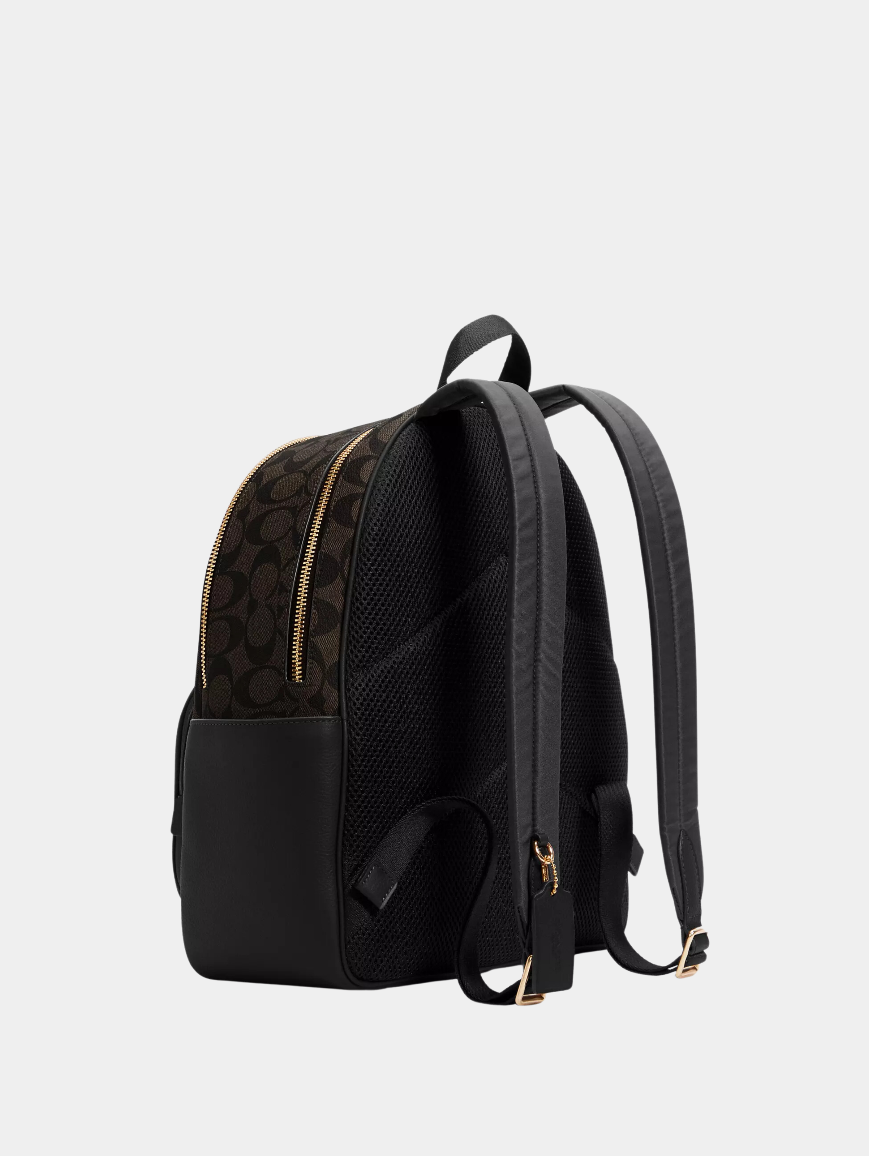 Court Backpack In Signature Canvas