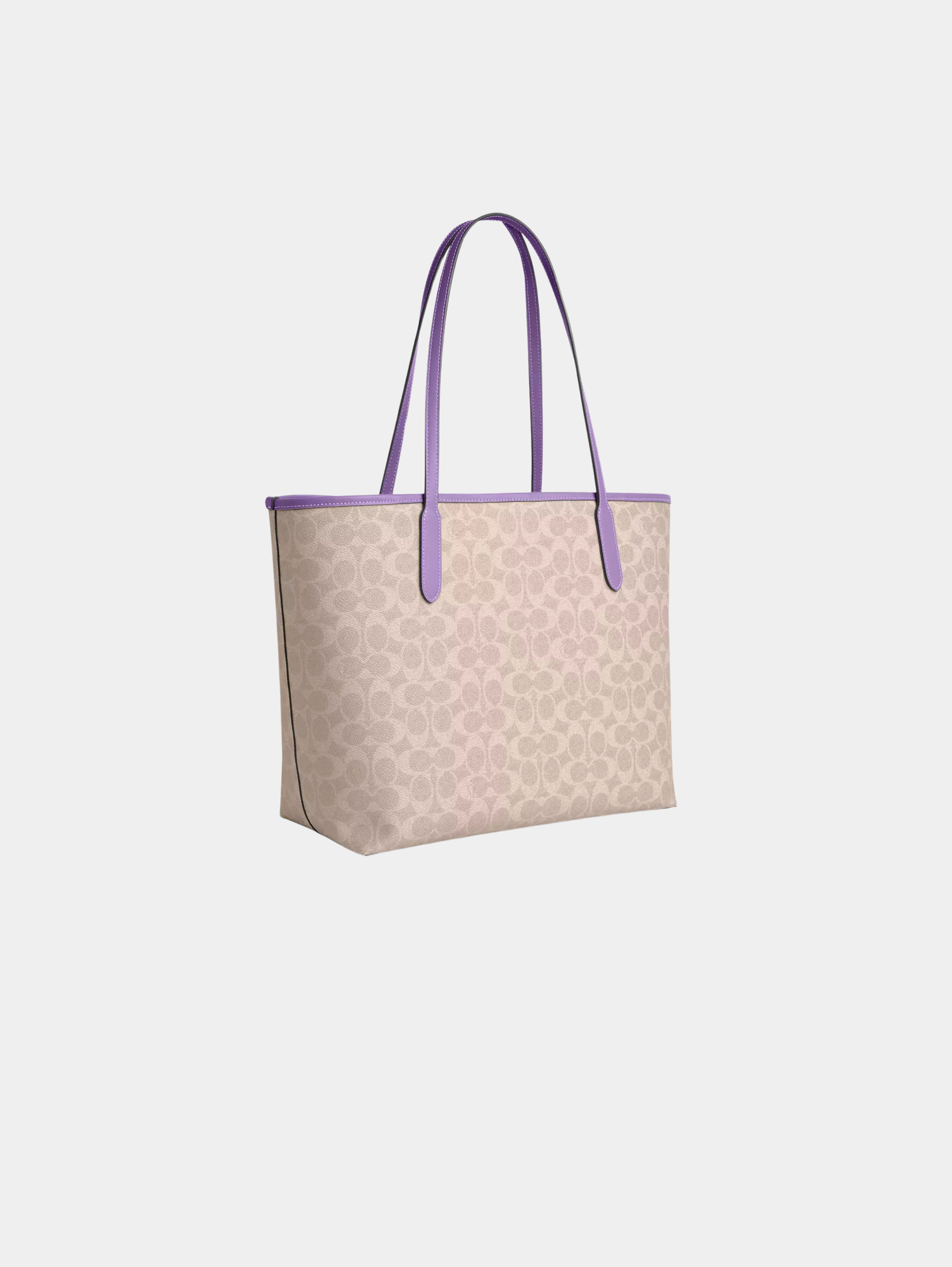 City Tote Bag In Signature Canvas