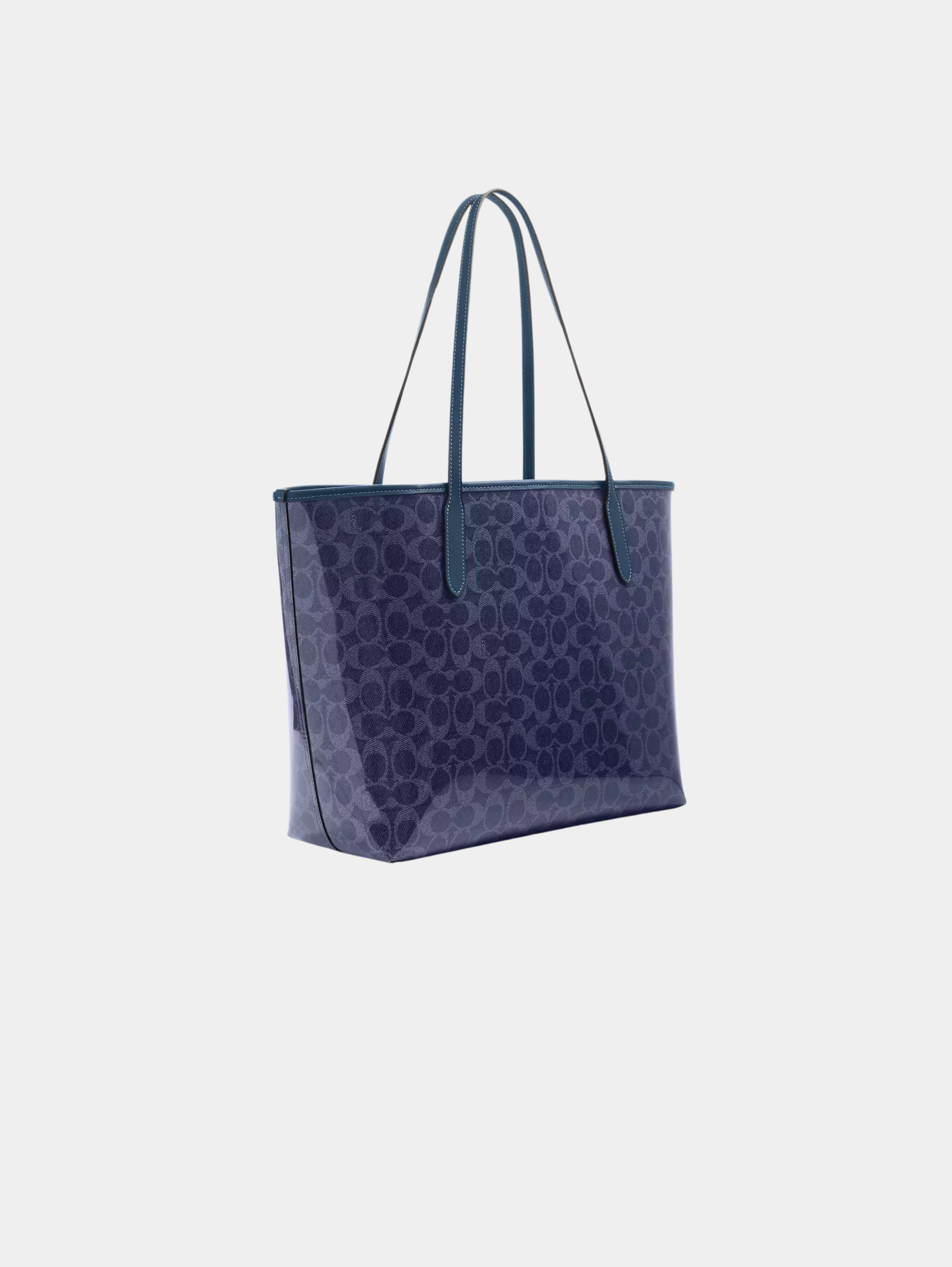 City Tote Bag In Signature Canvas