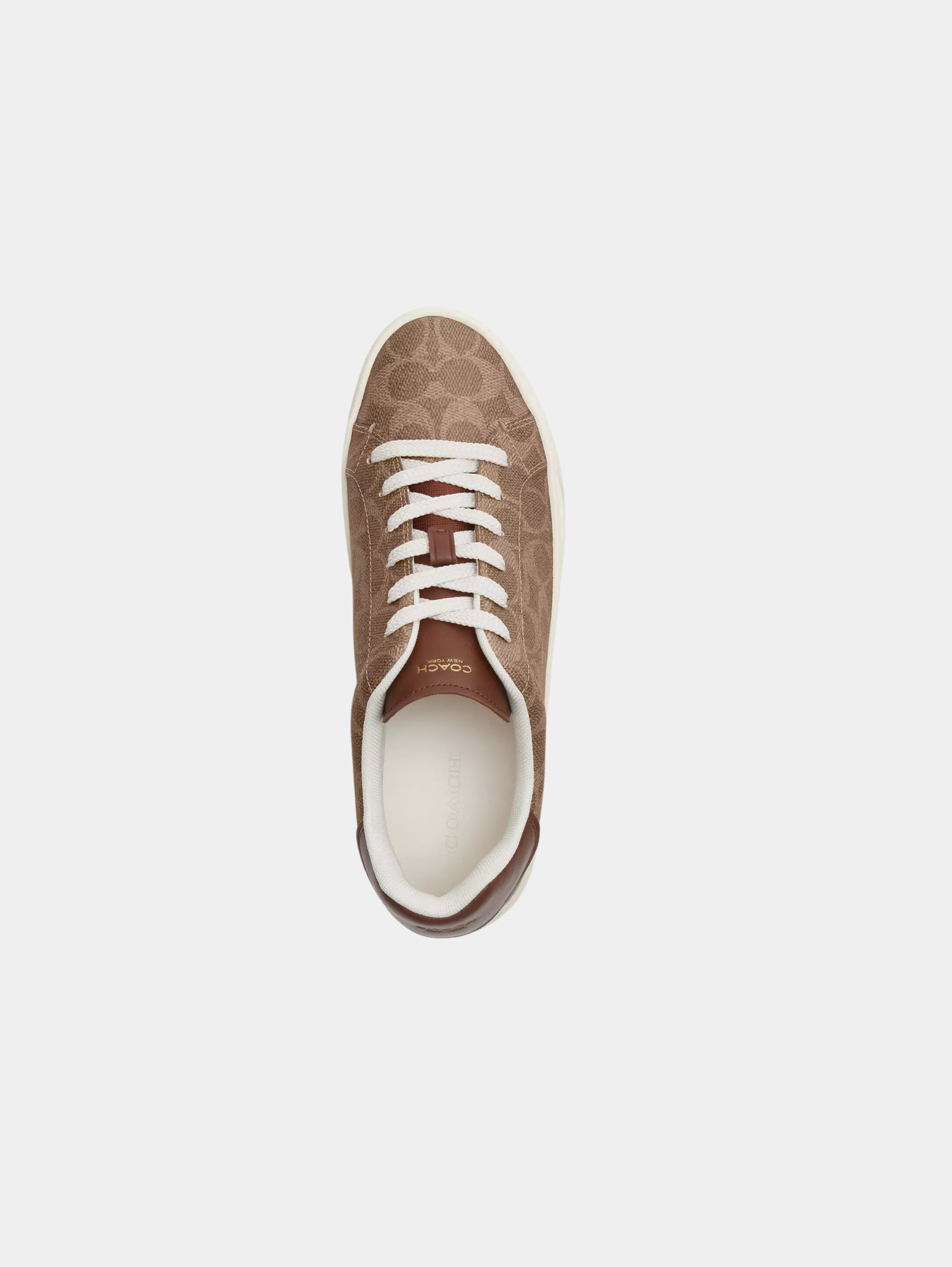 High Line Sneaker In Signature Canvas