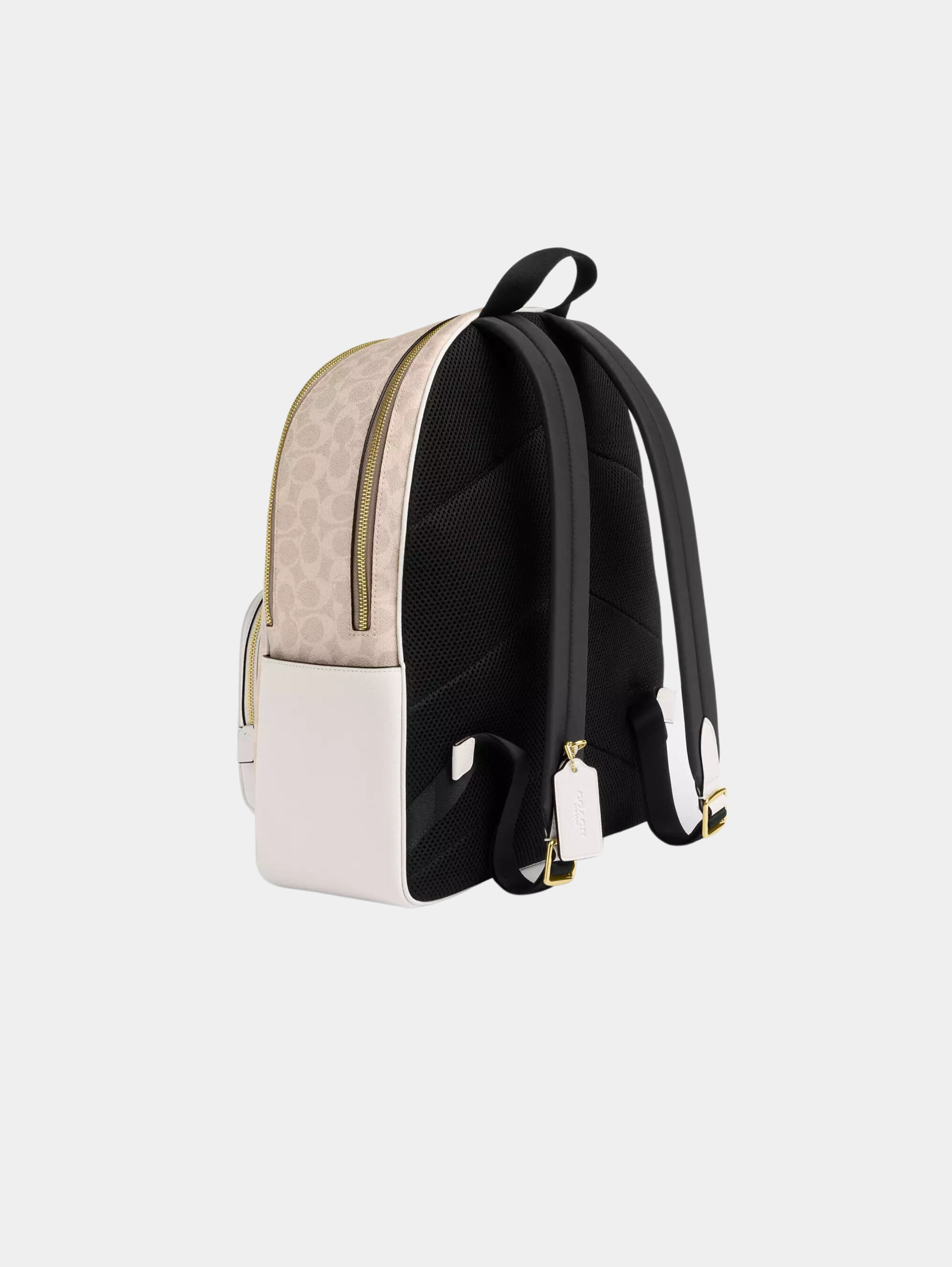 Large Court Backpack In Signature Canvas