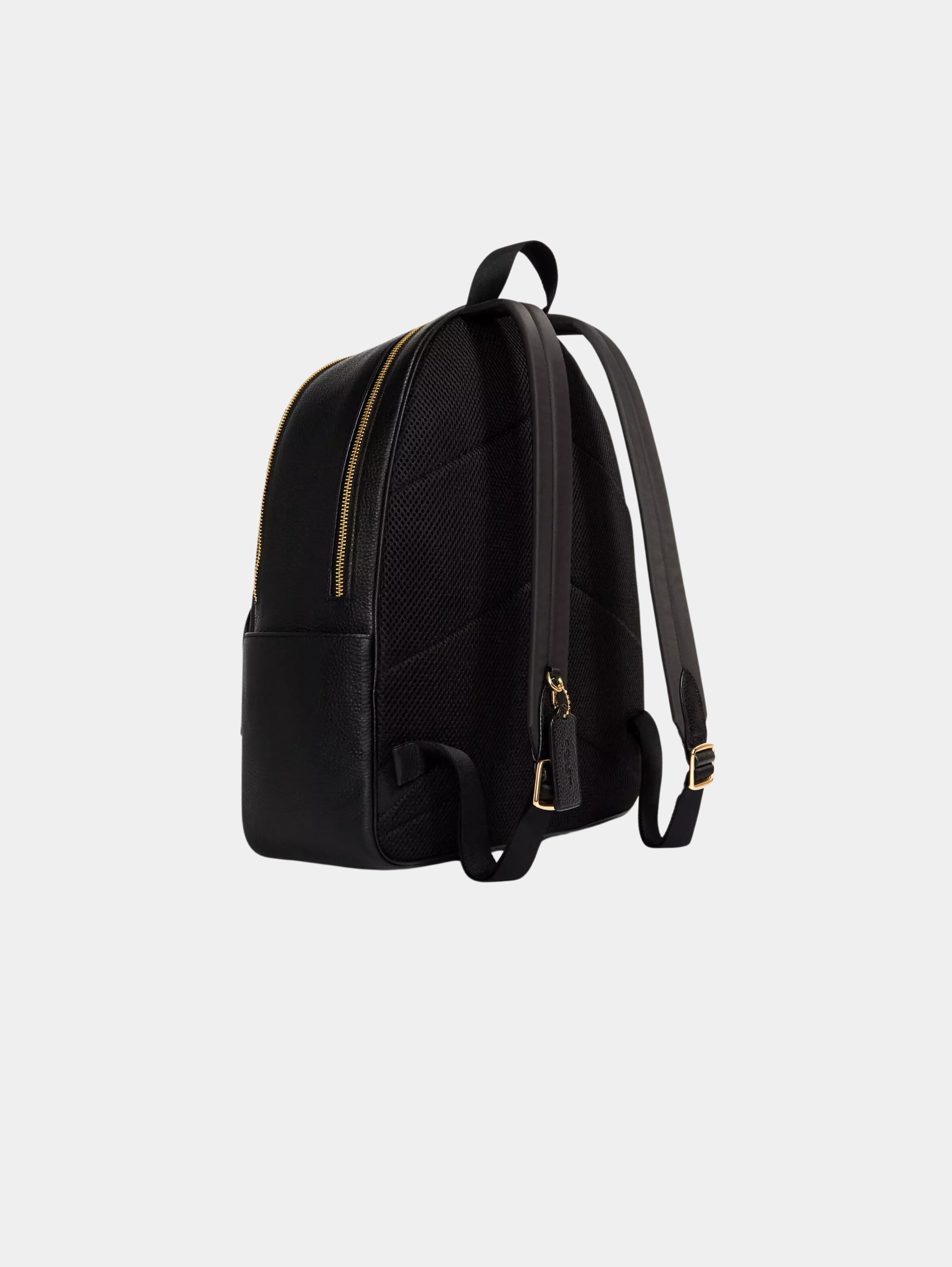 Large Court Backpack In Signature Canvas