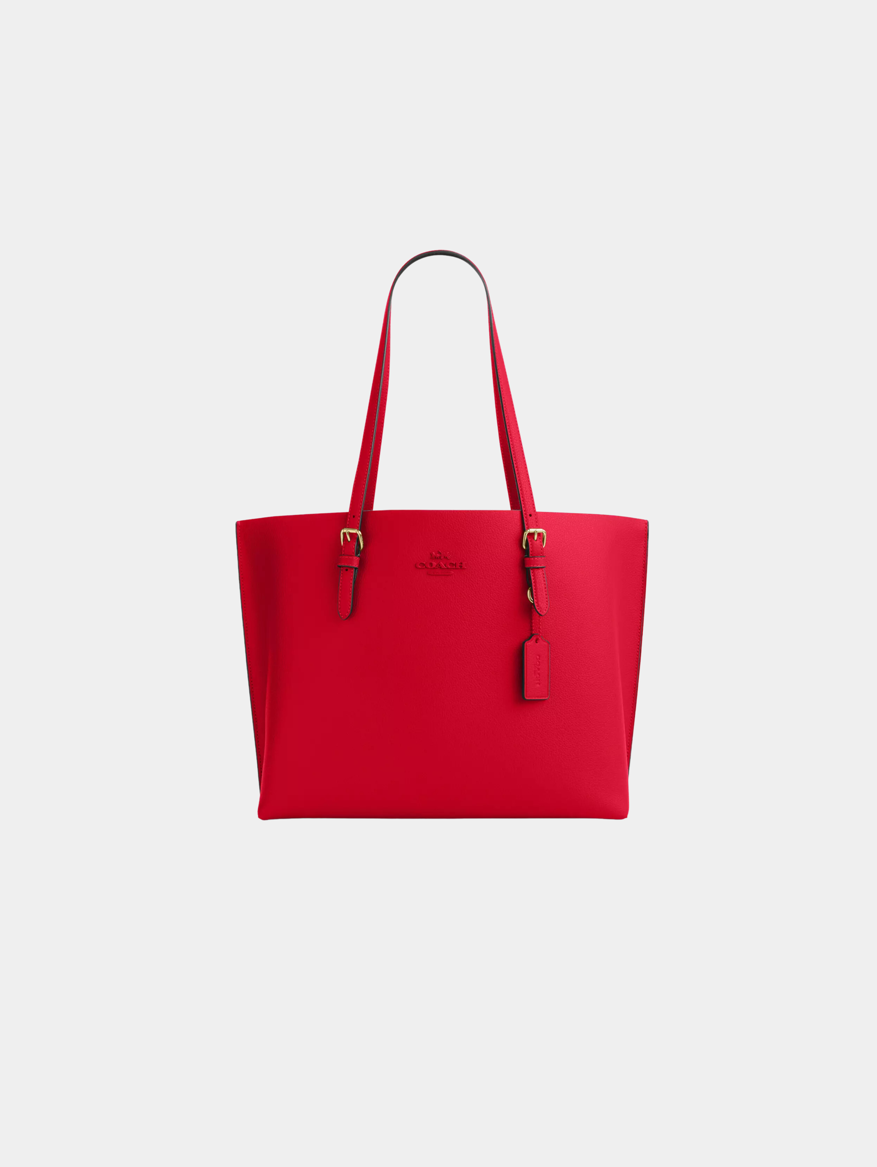 Mollie Tote