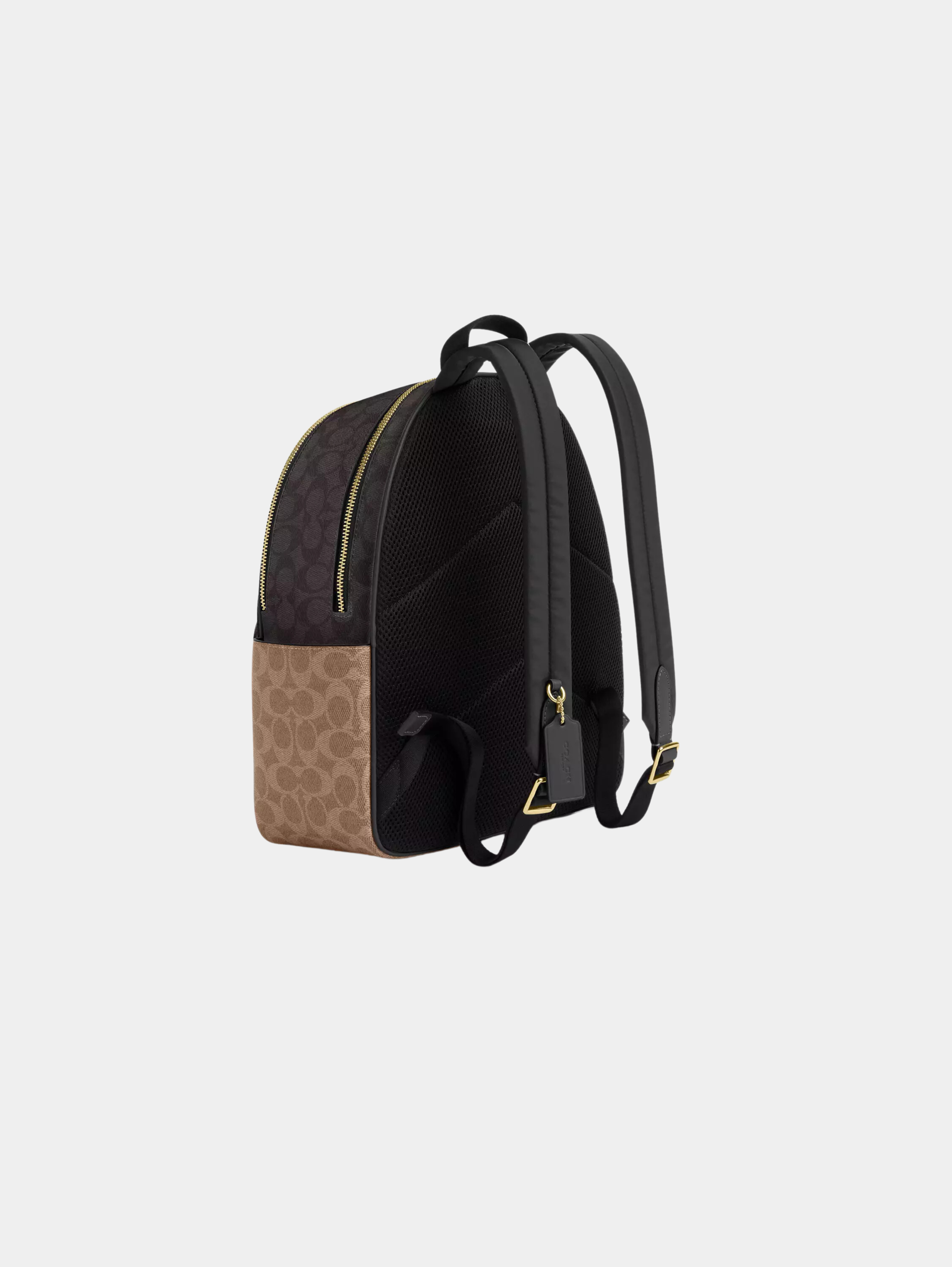 Court Backpack In Signature Canvas