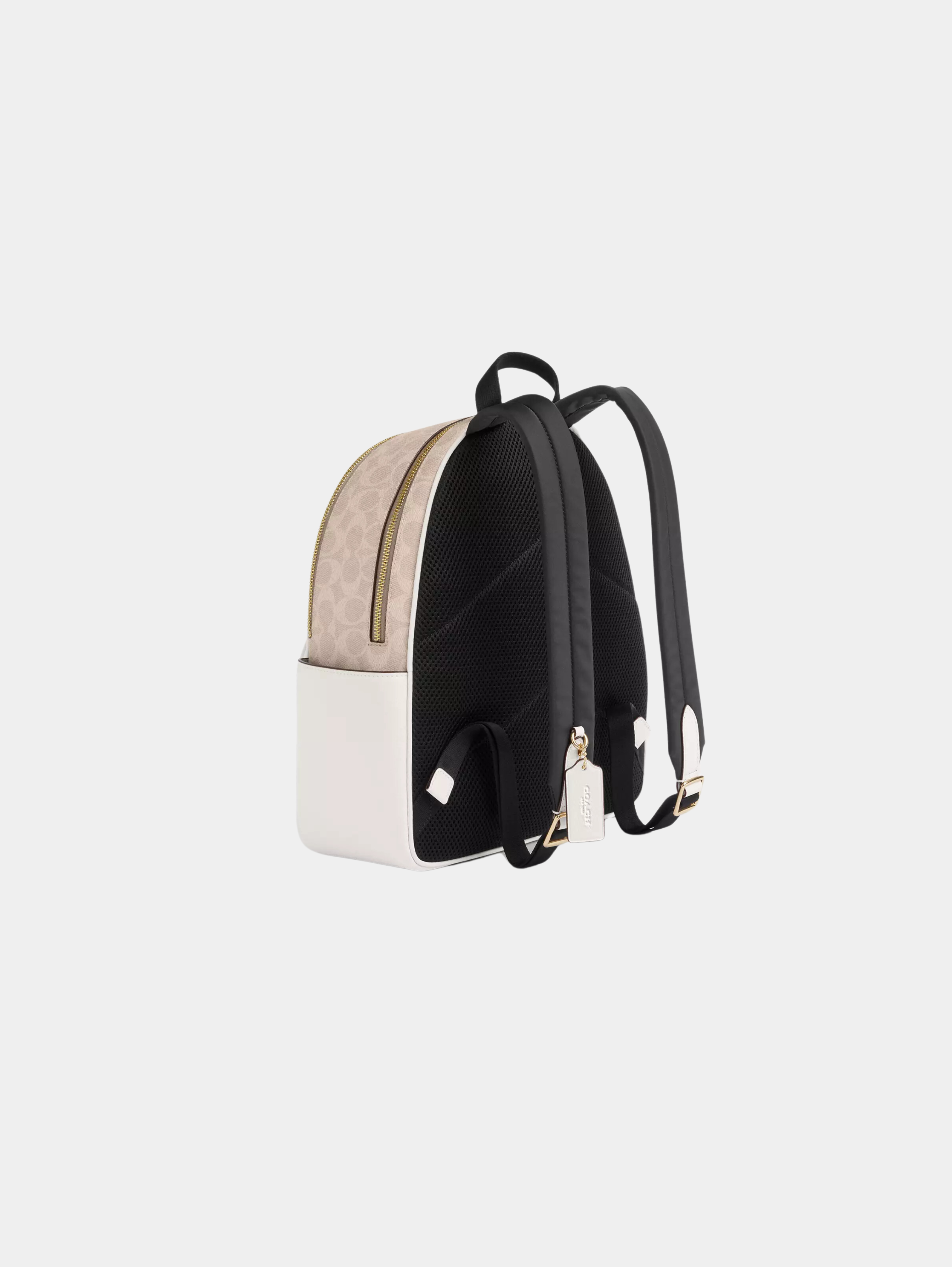 Court Backpack In Signature Canvas