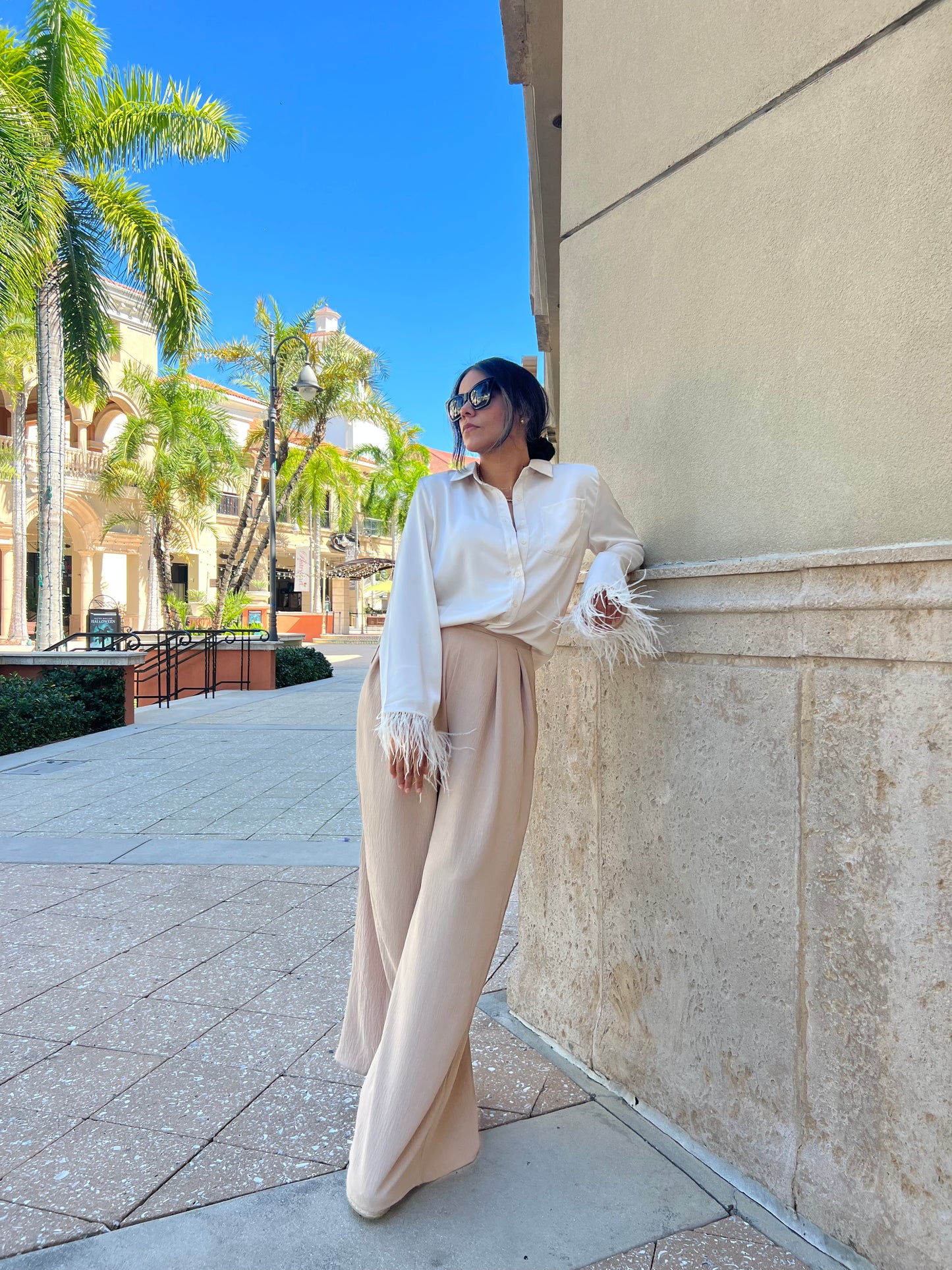 Taupe wide Pants